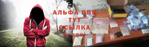 ешки Алексин